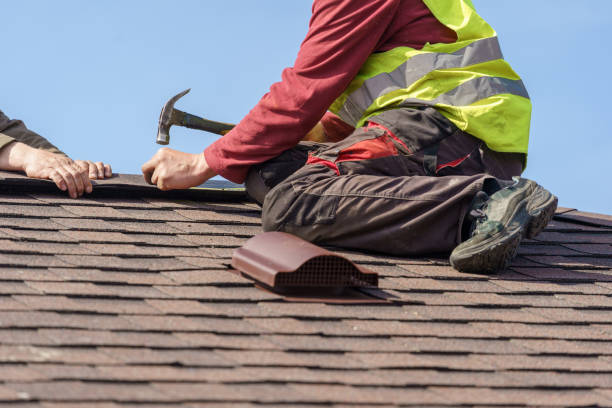 Best Roof Gutter Cleaning  in Dasher, GA