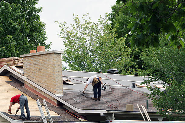 Best Roof Restoration Services  in Dasher, GA