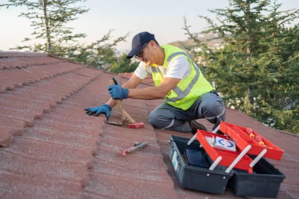 Best Roof Replacement Cost  in Dasher, GA