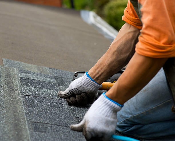 Best Shingle Roofing Installation  in Dasher, GA