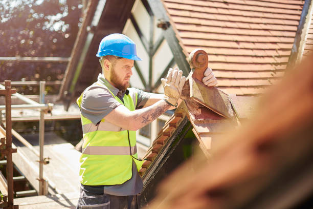 Roof Gutter Cleaning in Dasher, GA