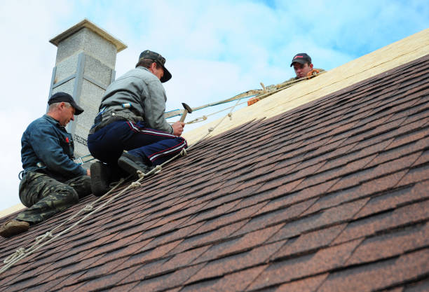 Best Emergency Roof Repair  in Dasher, GA